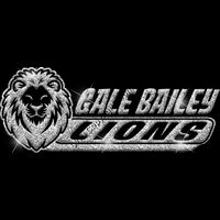 GLT102 SILVER GLITTER Thumbnail